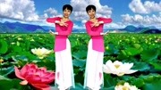 2020糖豆广场舞视频大全集mp4免费下载《西窗烟雨》柔美古典舞教学下载