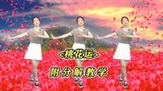 初学最简单的广场舞《桃花运》广场舞歌甜舞