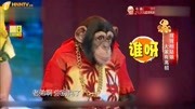 《海滩奇遇记》崔大笨小品搞笑大全mp4免费下载 够你笑一整天下载