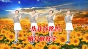 广场舞初学者视频mp4免费下载《伤我你疼吗