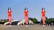 广场舞教学视频免费下载mp4《痛痛快快醉一回》32步鬼步舞旋律好听动作好看下载