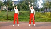 简单广场舞教学视频分解慢动作《时尚电音DJ》全网最火爆健身操暴汗排毒暴瘦全身下载