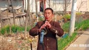 唢呐独奏大全mp3下载《九妹》唢呐高手演奏