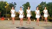 广场舞教学视频免费下载mp4《男人爱潇洒女人爱漂亮》零基础步子舞经典老歌好听更好看下载
