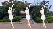广场舞教学视频免费下载mp4《刘海砍樵》经典老歌怀旧金曲好听32步恰恰更好看下载