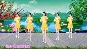 初学最简单的广场舞《思念化作春水流》动感