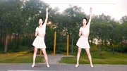 广场舞教学视频免费下载《真心真意过一生》怀旧金曲下载