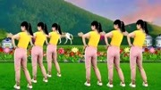 糖豆广场舞视频大全集健身操减肥操《站在草原望北京》每天跳两遍肚子平了腰细了下载