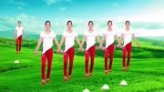 自学广场舞视频教程mp4免费下载《跟我回家