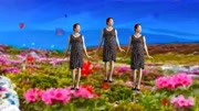 自学广场舞视频教程《我到底错在哪里》原创