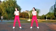 广场舞教学视频免费下载《我不后悔DJ》劲爆减肥瘦身操下载