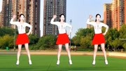 广场舞教学视频免费下载mp4《姑娘跟我走DJ》瘦身减肥舞步青春有活力下载