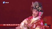 梨园春 陕西秦腔mp3免费下载《红娘》选段 张蓓 看小姐做出来许多破绽下载