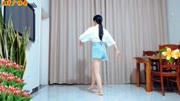 广场舞教程初级舞步分解动作《女驸马》DJ版 背面跳下载