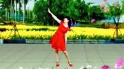 糖豆广场舞健身操视频大全集下载《你莫走》