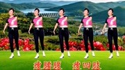 中老年健身操66节视频mp4免费下载《山里红
