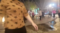 舞灵美娜子广场舞《布尔津情歌》夜舞版新手学跳舞的简单舞下载