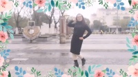 舞灵美娜子广场舞《快乐老家》新手学跳舞的简单舞下载
