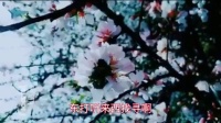 莲花落下载到内存卡《一夜夫妻我勿爱金来勿