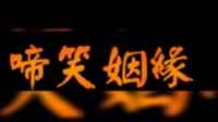 上党鼓书下载mp4免费《啼笑姻缘》