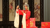楚剧大全视频完整版下载《双玉婵》主演 夏青玲下载