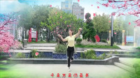 云裳广场舞2020年新舞《姑娘追》沚水老师原