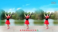 金灿灿广场舞《花开的时候你就来看我》初学