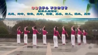 茉莉广场舞最新视频mp4免费下载《手心里的温柔》中三下载