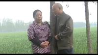民间小调下载免费mp4《恶婆婆爬墙头》01
