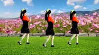 最新吕芳广场舞《不做你幸福的玫瑰》背面教跳广场舞初学者下载