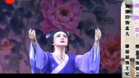 淮剧mp4免费下载《五朵金花》专场演出（下）星