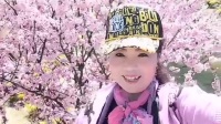 简单的吕芳广场舞《翻唱梨花颂》简单广场舞慢动作教学视频下载