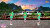 动动广场舞2020新舞 《大漠风歌DJ》 32步 背面简单广场舞慢动作教学视频mp4免费下载下载