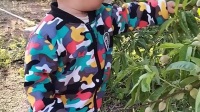 简单的吕芳广场舞《快乐的宝贝马鹏扬》广场舞减肥视频大全下载