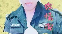 民间小调下载到内存卡《情深似海》