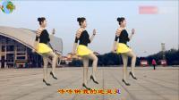 青青世界广场舞《灵灵》0 基础学广场舞步法