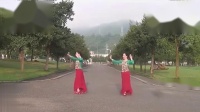 紫蝶踏歌广场舞大全mp4免费下载 《我的心中有一艘船》 背面下载