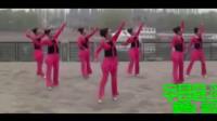 美久广场舞《不要爱上哥》学跳广场舞一步一步教慢动作视频mp4免费下载下载