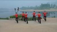 美久广场舞《绿旋风》学跳广场舞一步一步教慢动作视频mp4免费下载下载