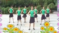高安子君广场舞全部视频mp4免费下载 《 绿