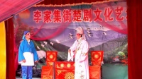 楚剧大全视频完整版下载《大访友》主演 易
