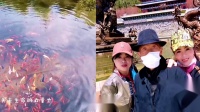 简单的吕芳广场舞《游原生态 美丽山水》初学广场舞一步一步教下载