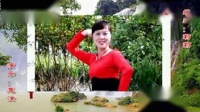 惠汝广场舞《西海情歌》广场舞减肥舞一天瘦一斤下载