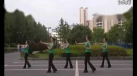 吉美广场舞《美丽的草原我的家》初学广场舞