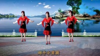 简单的吕芳广场舞 《对面的小姐姐》广场舞减肚子舞网红舞曲附分解下载