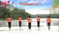 青儿广场舞2020年新舞mp4免费下载 《想你的