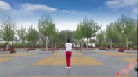 舞动旋律2007健身队中国广场舞《 超嗨慢摇D