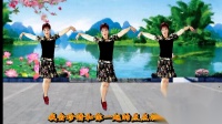 最新吕芳广场舞《真的不容易》正背面及分解学广场舞一步一步教慢动作下载
