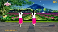 惠汝广场舞 《美丽的蝴蝶》 背面广场舞教学视频基础步下载
