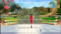 青儿广场舞2019年全部视频mp4免费下载 《福